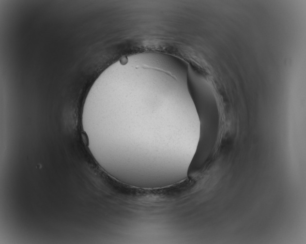 X0000089450593200706291444