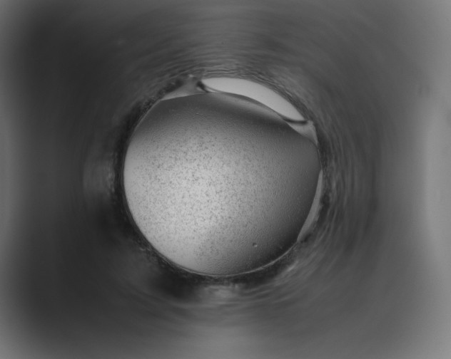 X0000089450595200706291444