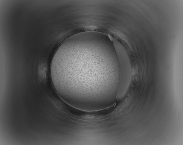 X0000089450596200706291444