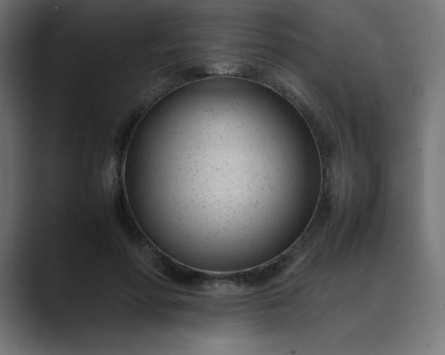 X0000089450598200706291444