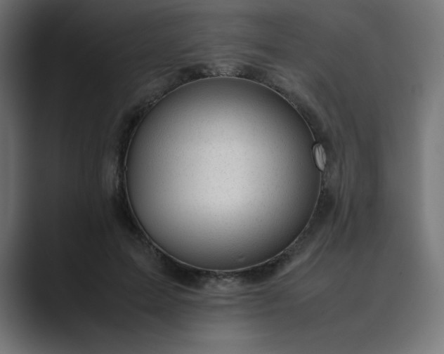 X0000089450599200706291444