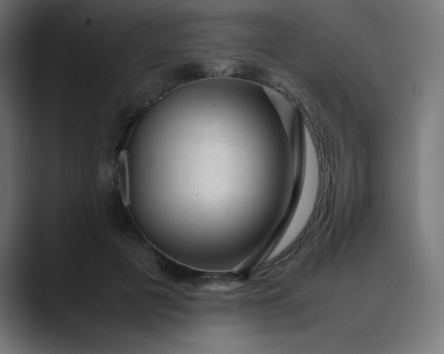 X0000089450601200706291444