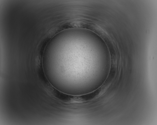 X0000089450603200706291444