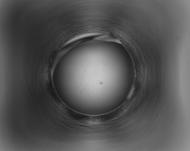 X0000089450604200706291444