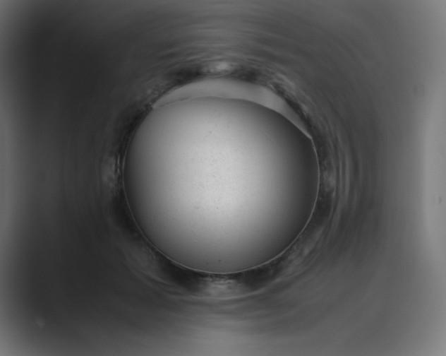 X0000089450605200706291444