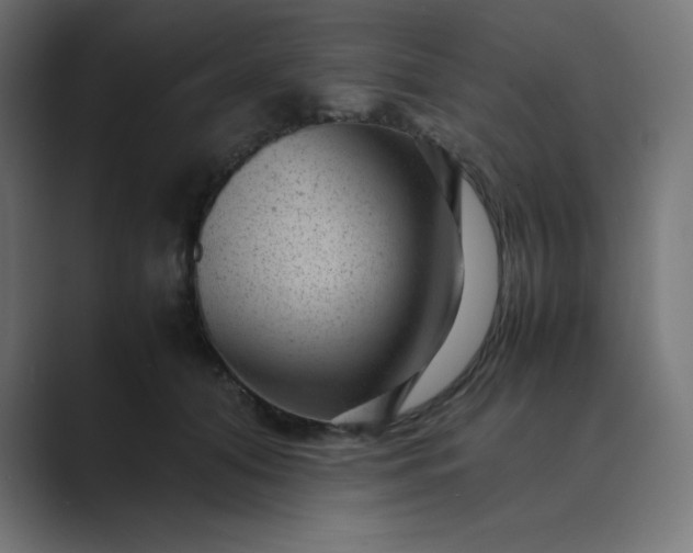 X0000089450608200706291444