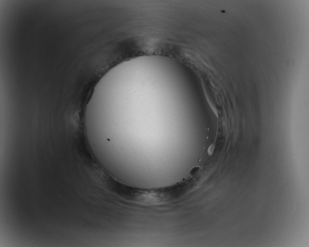 X0000089450611200706291444