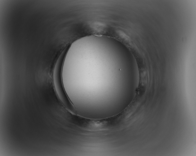 X0000089450613200706291444