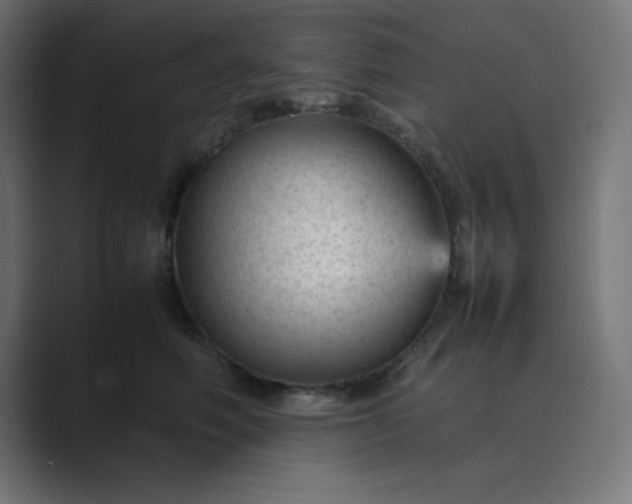X0000089450614200706291444