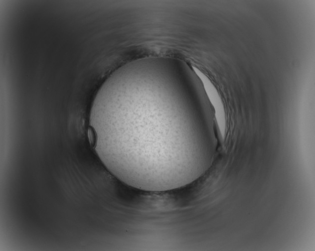 X0000089450615200706291444