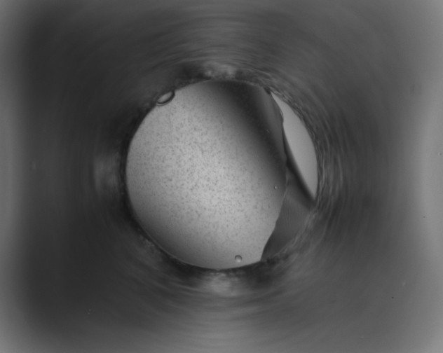 X0000089450616200706291444