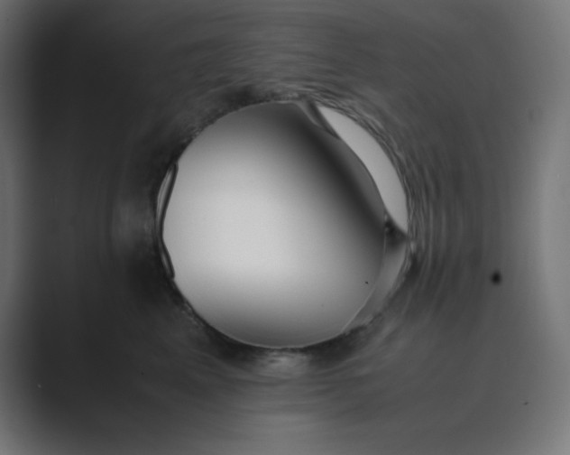X0000089450617200706291444