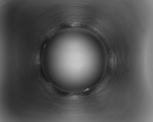 X0000089450620200706291444