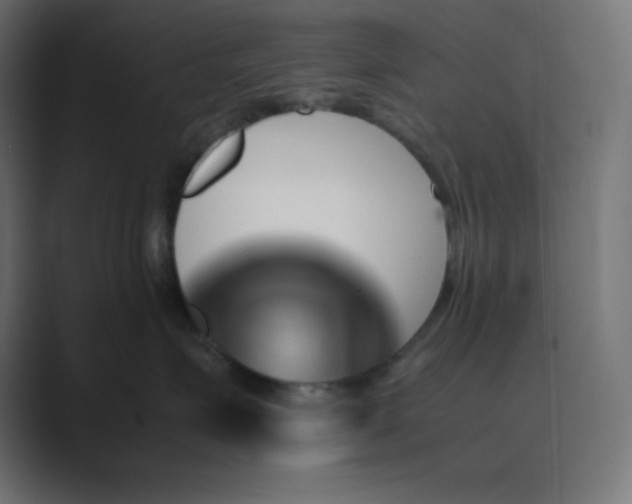X0000089450623200706291444
