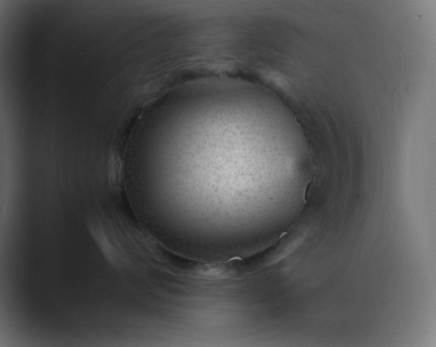 X0000089450624200706291444