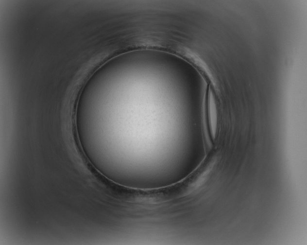 X0000089450625200706291444