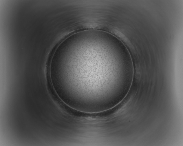 X0000089450626200706291444