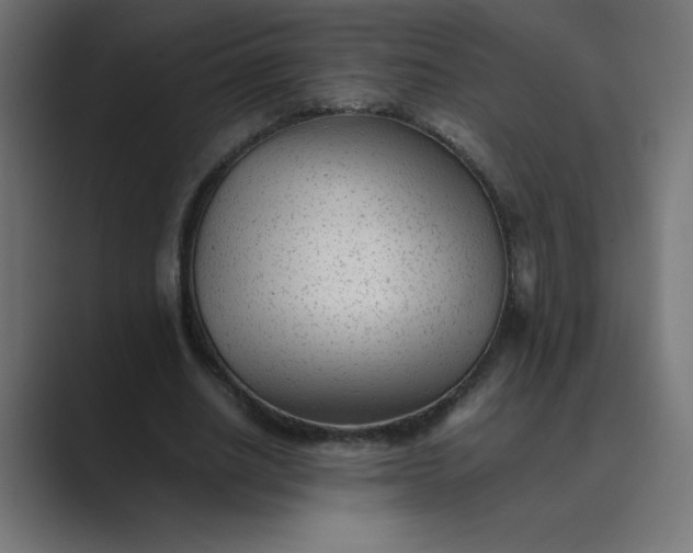 X0000089450630200706291444