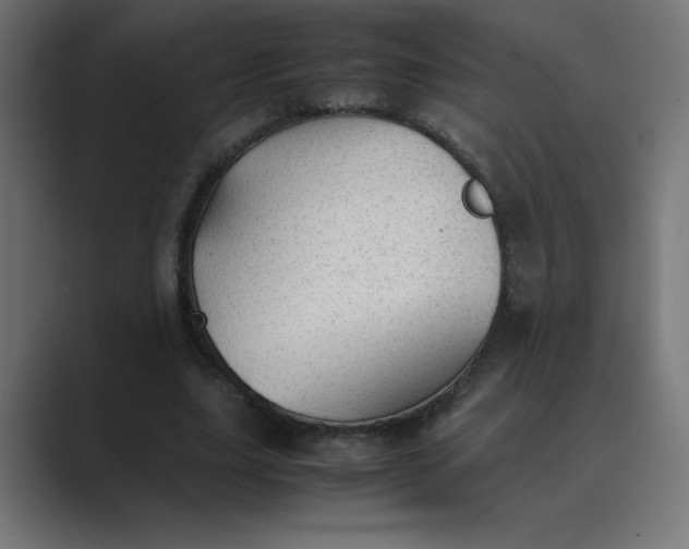 X0000089450631200706291444
