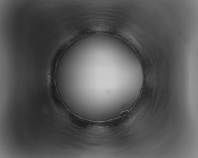 X0000089450635200706291444