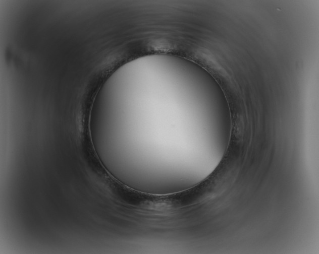 X0000089450639200706291444