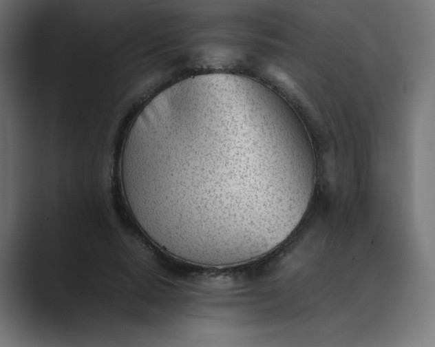 X0000089450640200706291444