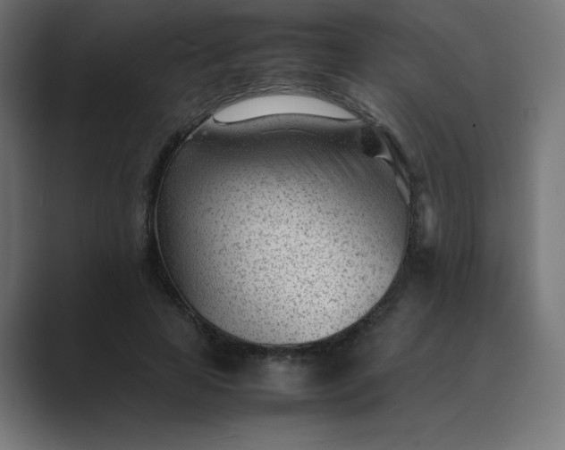 X0000089450641200706291444