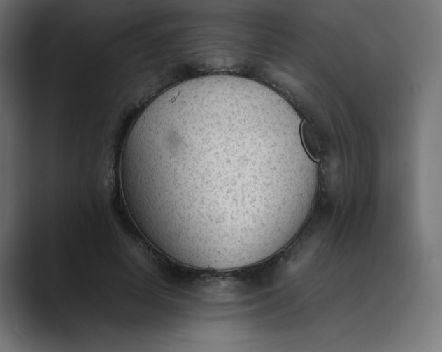 X0000089450642200706291444