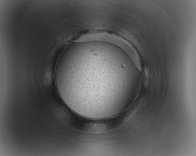X0000089450644200706291444