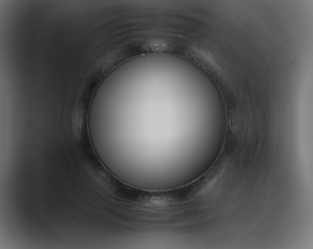 X0000089450645200706291444