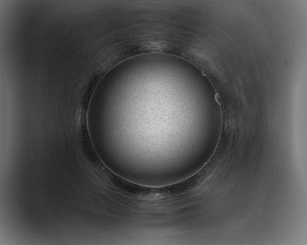 X0000089450647200706291444