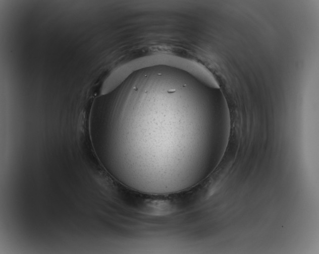 X0000089450649200706291444