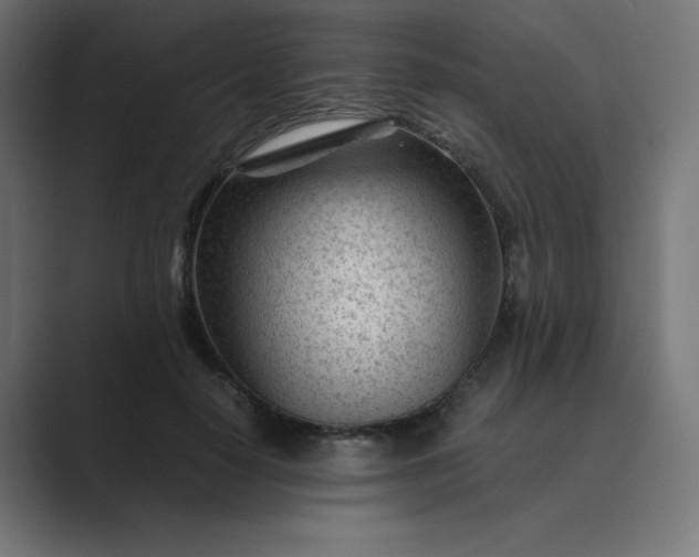 X0000089450650200706291444