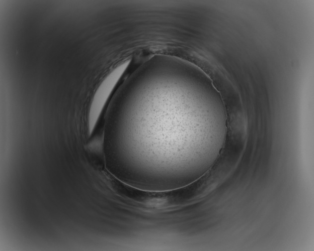 X0000089450653200706291444