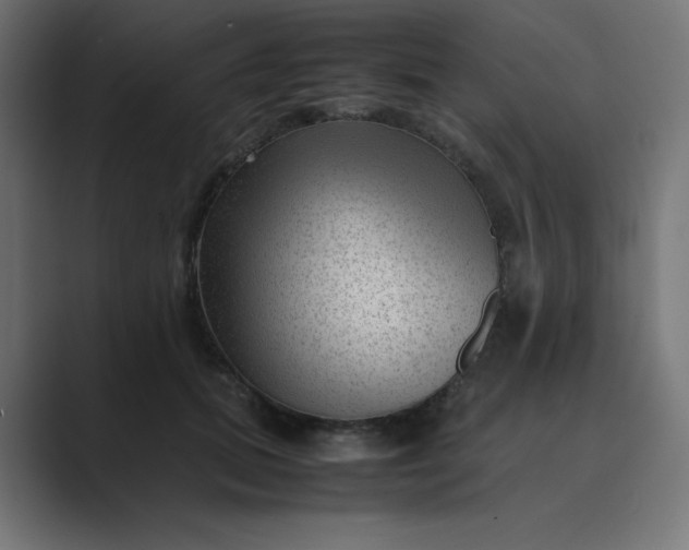X0000089450655200706291444