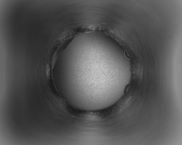 X0000089450656200706291444
