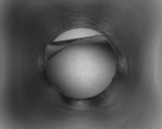 X0000089450657200706291444