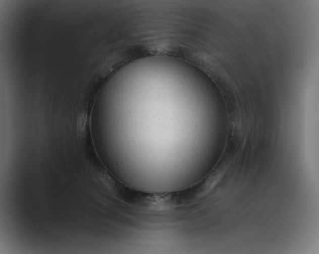 X0000089450660200706291444