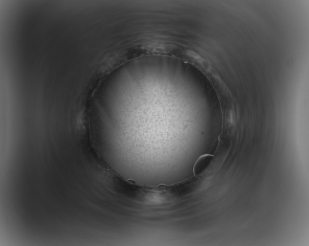 X0000089450663200706291444