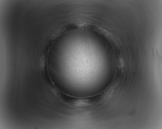 X0000089450664200706291444