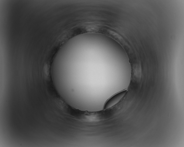 X0000089450667200706291444