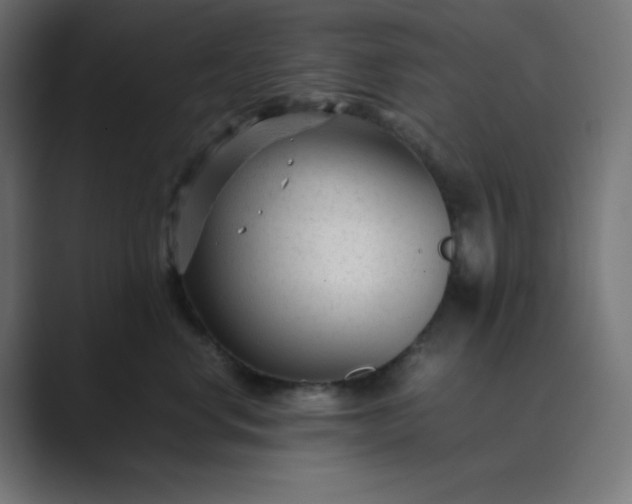 X0000089450668200706291444