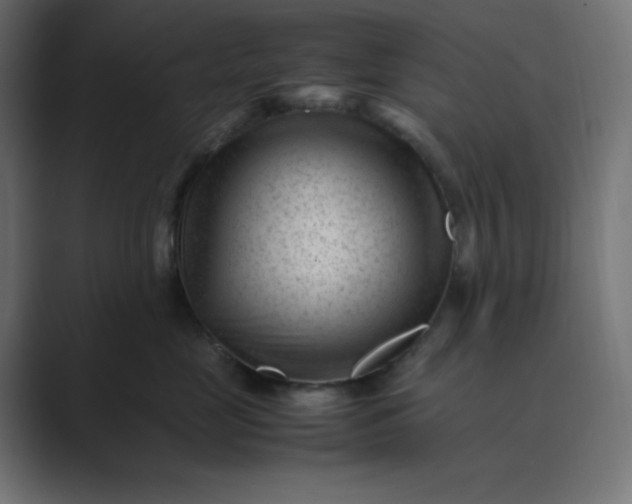X0000089450669200706291444