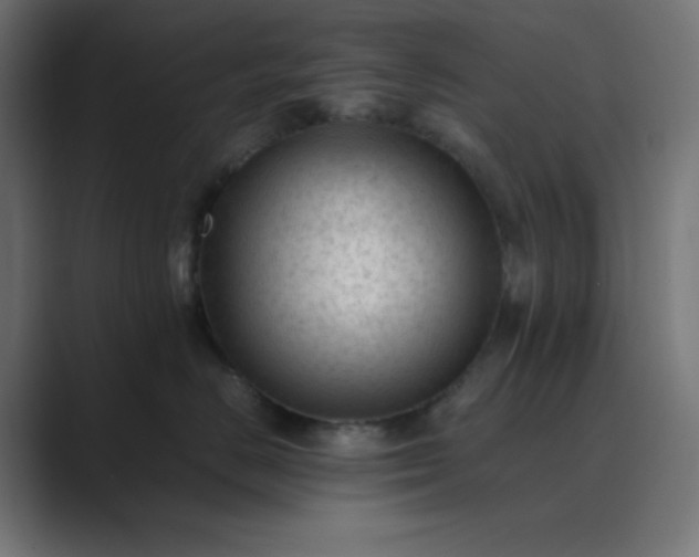 X0000089450670200706291444