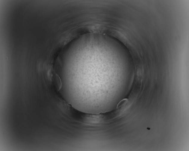 X0000089450671200706291444