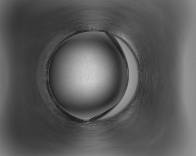 X0000089450673200706291443