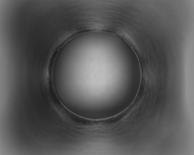 X0000089450674200706291443