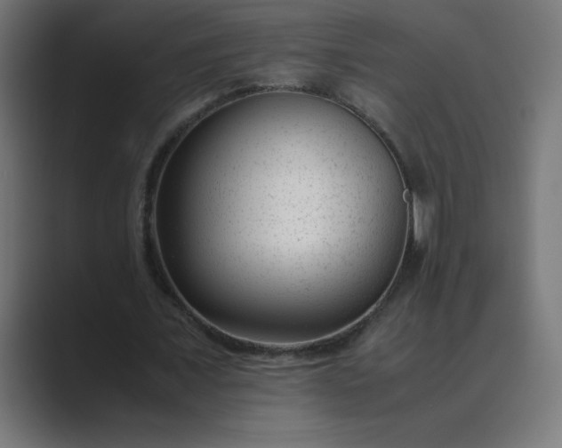 X0000089450675200706291443