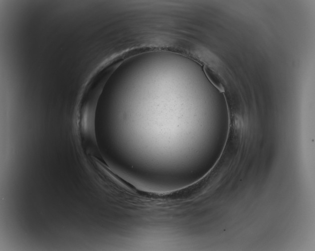 X0000089450676200706291443
