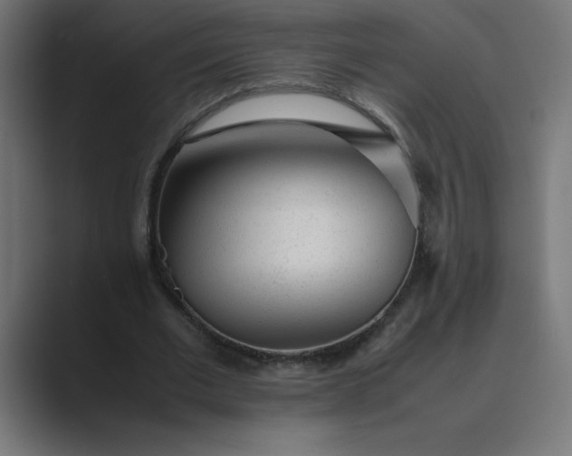 X0000089450677200706291443